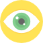 Vision